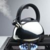 2.3 Quart Stainless Steel Egg-Shaped Whistling Tea Kettle, Induction Safe, Stainless Steel